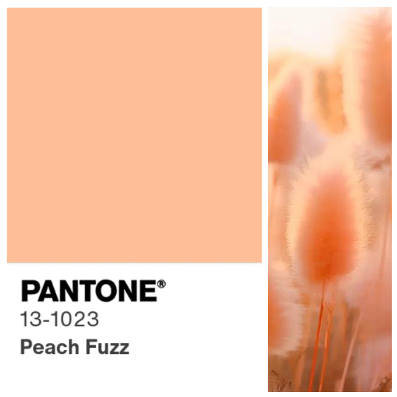 couleur pantone 2024 article